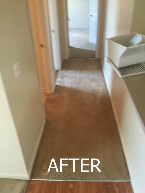 After a hard carpet clean by mims janitorial.