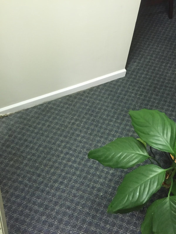 Clean carpet done by a professional janitorial service.