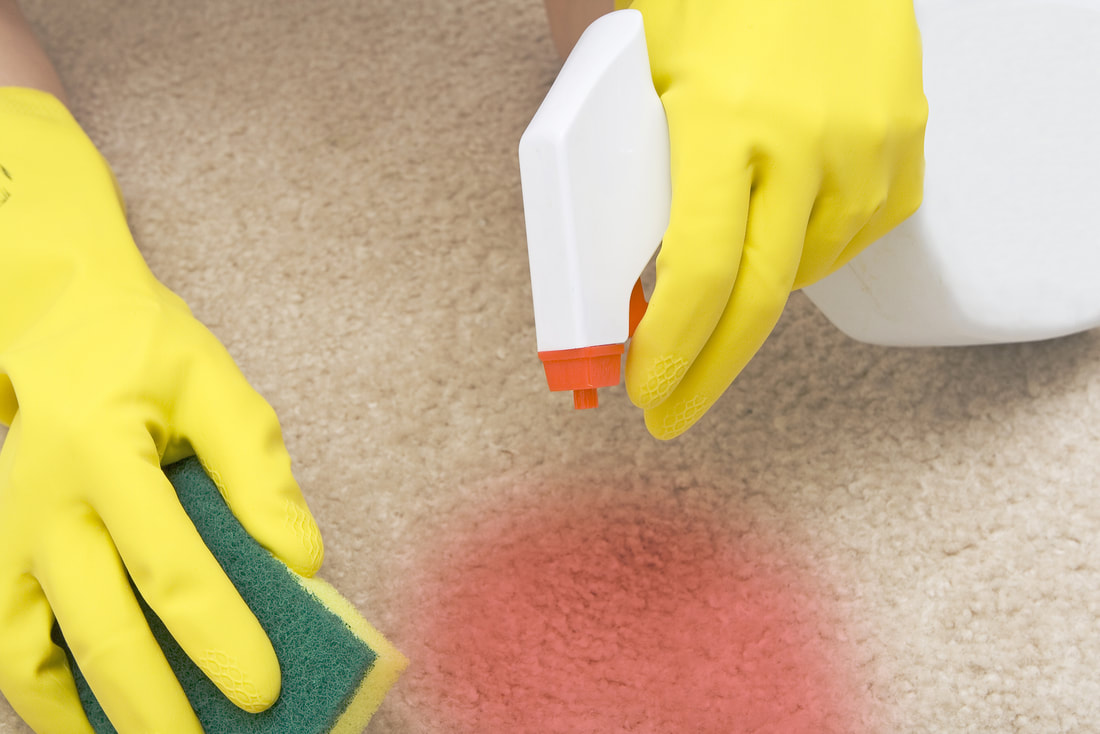 Deep stain cleaning on carpet
