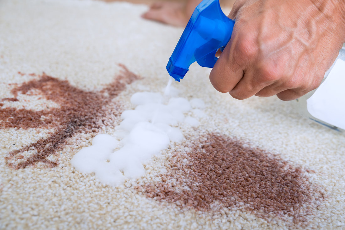 Carpet stain cleaning