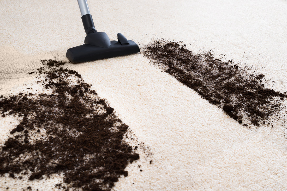 Deep carpet clean up