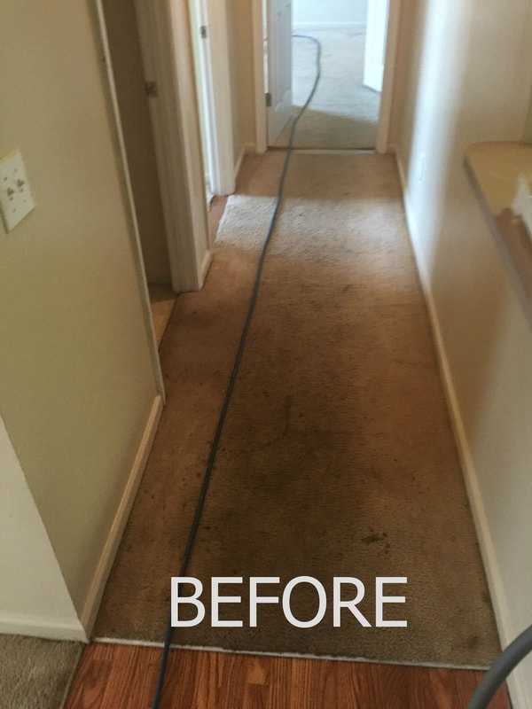 Before a deep carpet clean by mims janitorial.